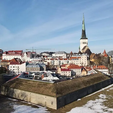 Two-level Loft In Swedish Style 7 Apartment *